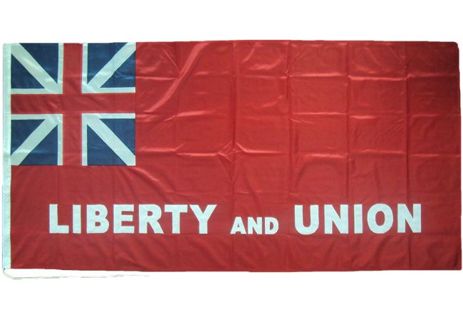 5x3ft 60x36in 152x91cm Taunton Flag